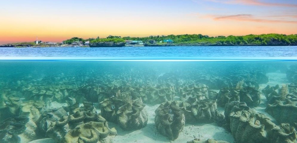 Silaki Island, Philippines , Philippines